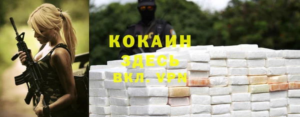 бошки Аркадак