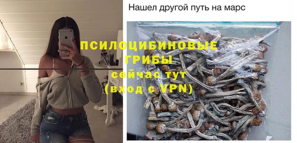 молекула духа Баксан